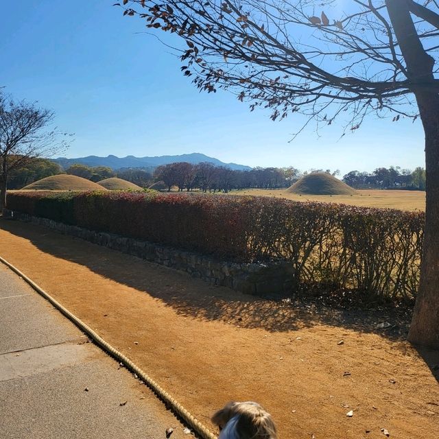 우리나라의 멋진 역사를 자랑하는 경주 명소, 첨성대 📷