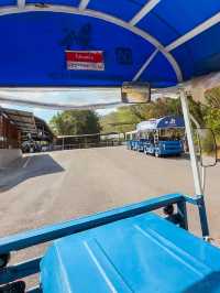 ไร่ทองสมบูรณ์คลับ เขาใหญ่🏔️🚠🏎️🌳 