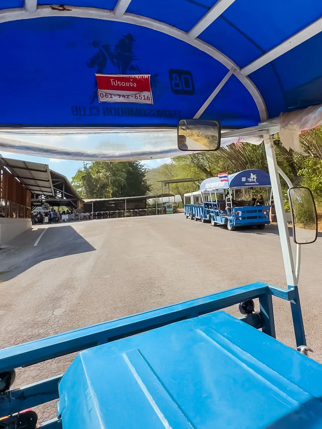 ไร่ทองสมบูรณ์คลับ เขาใหญ่🏔️🚠🏎️🌳 