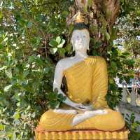 Wat Mahathat: Timeless Tranquility Unveiled