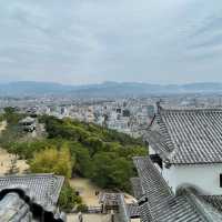 🏯 마쓰야마시의 전경을 한눈에 구경할 수 있는 마쓰야마성💙