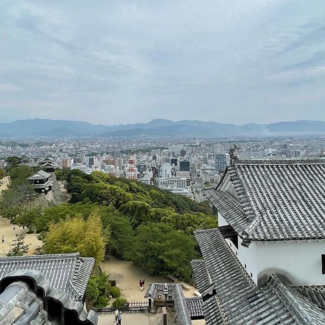 🏯 마쓰야마시의 전경을 한눈에 구경할 수 있는 마쓰야마성💙
