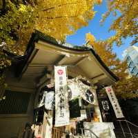 兩個東京巿區隱敞超美銀杏神社