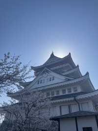 熱海でお花見するならここ！熱海の絶景を一望できる熱海城！