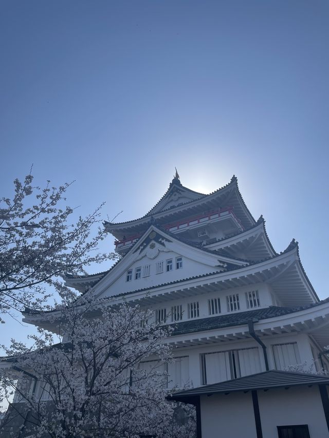 熱海でお花見するならここ！熱海の絶景を一望できる熱海城！