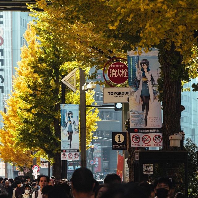 Akihabara Electric Town 🇯🇵