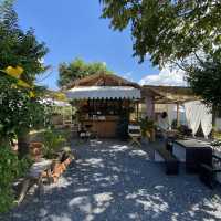 ร้านกาแฟในสวนสุดชิล WOODS Coffee
