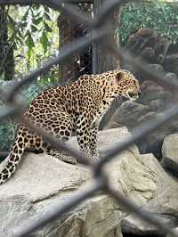 Safari World