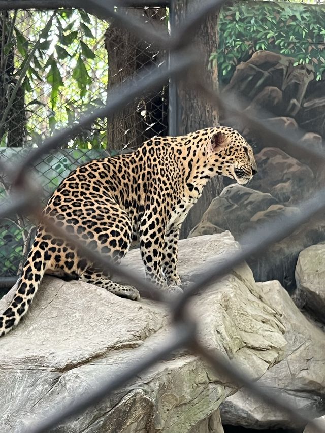 Safari World