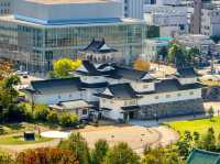 Toyama City Hall Observation Tower