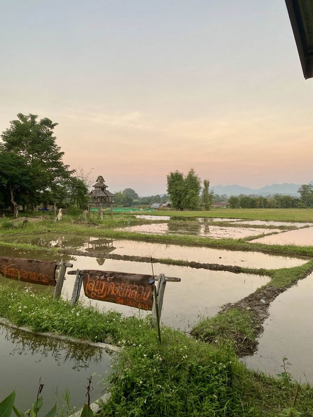 Authentic northern Thai food with a view!