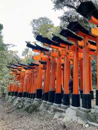 京都景點｜伏見稻荷大社｜千本鳥居
