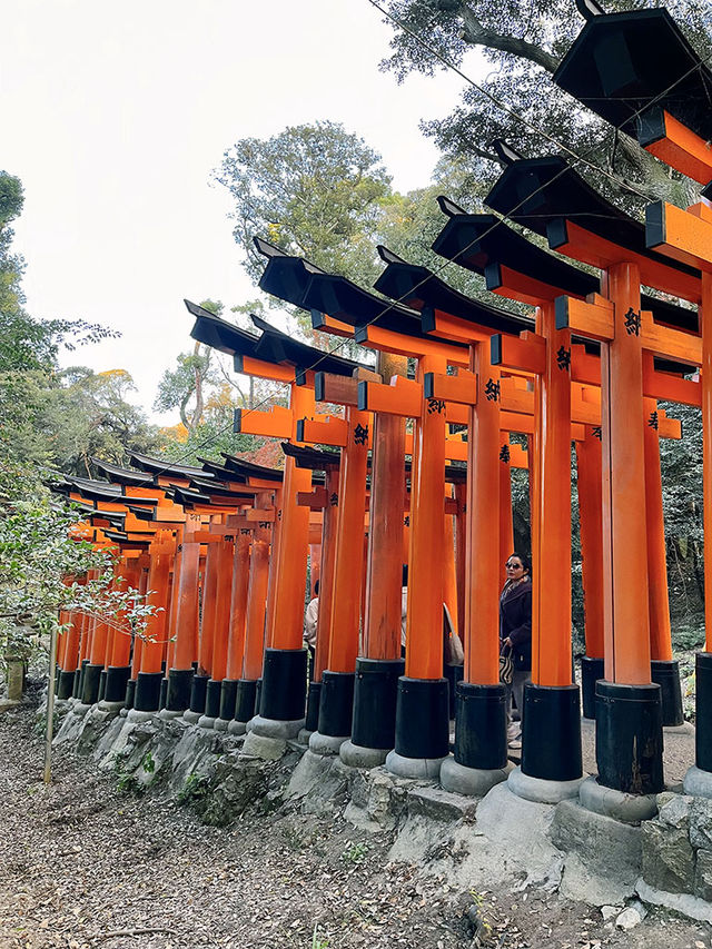 京都景點｜伏見稻荷大社｜千本鳥居