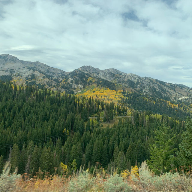 Fall Colors Outside Salt Lake City 