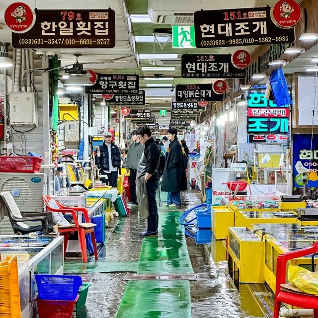 맛있는 것이 너무 많아 양손 무겁게 나오는 속초관광수산시장