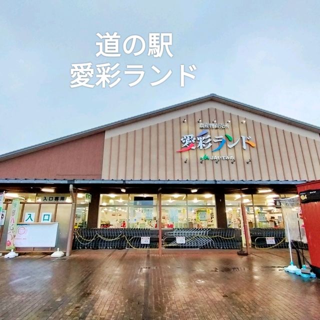 大阪観光✨道の駅巡り『愛彩ランド』