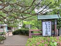 Yokosuka Iris Garden