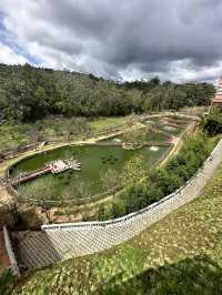 Fresh Garden at Dalat Vietnam 