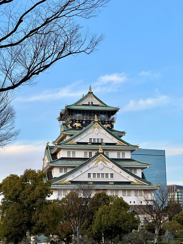 大阪必到🇯🇵大阪城🏯