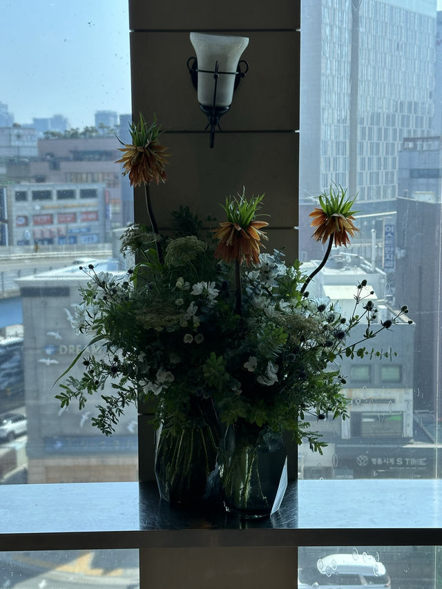 압구정 도심 한복판에서 🌆 편하게 휴식을 취할 수 있는 현대백화점 본점 🌱옥상공원
