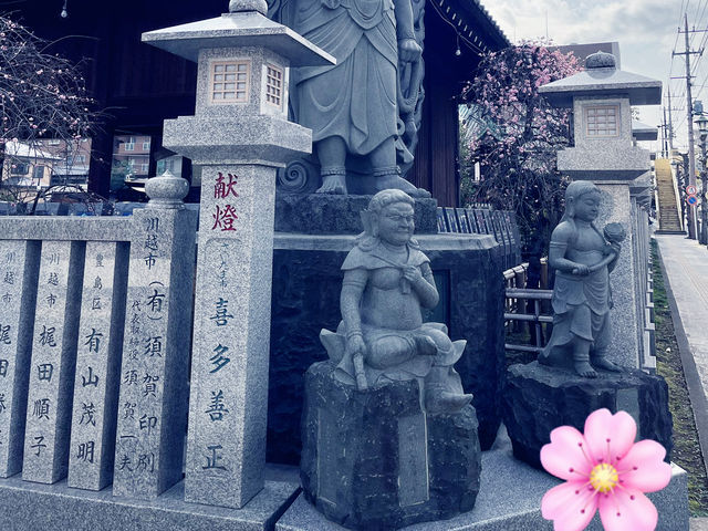 🌸東京周邊 - 川越喜多院賞櫻🌸