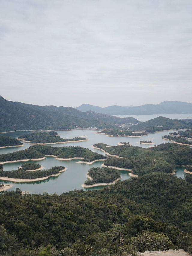 🇭🇰香港觀楓🍁大棠楓香林至千島湖清景台 新手友好！大約50分鐘走完～🚶🏻
