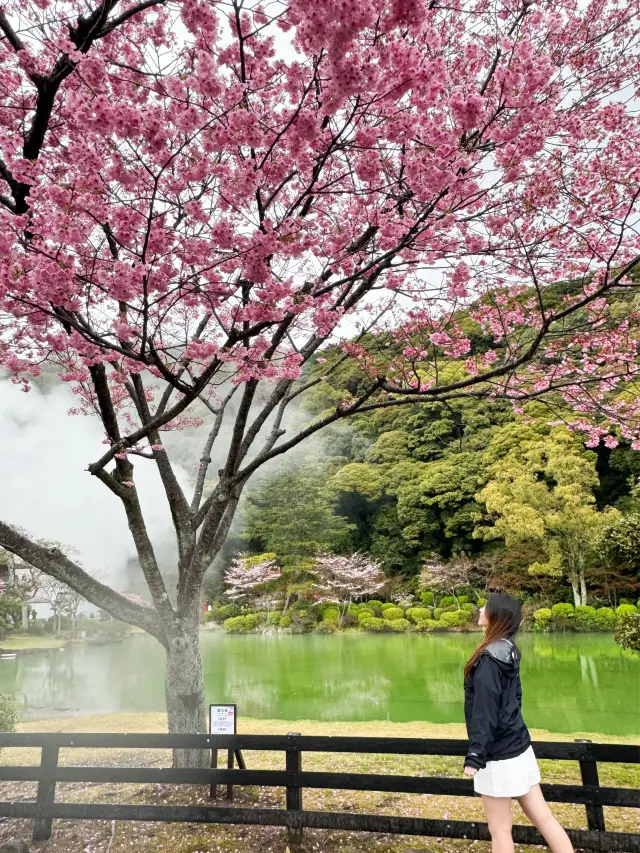 日本別府景點｜有櫻花🌸有鳥居⛩️有地獄😂