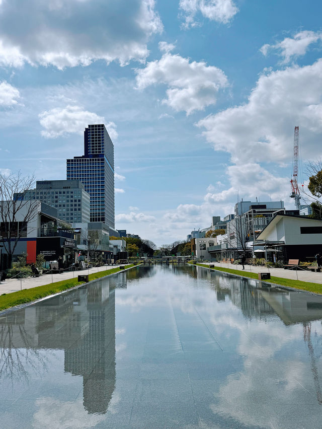 名古屋市內賞櫻｜名古屋電視塔早櫻盛放