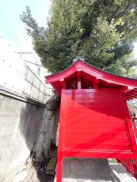 【馬場子育稲荷神社/東京都】子どもの健全な育成を願うと思われる