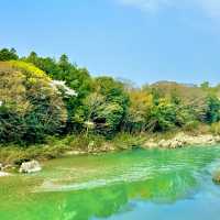 桜淵公園