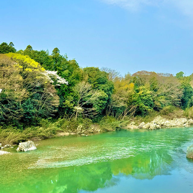 桜淵公園