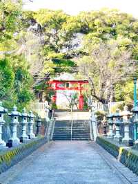 【峯ヶ岡八幡神社/埼玉県】樹齢約700年の大銀杏と約400本もの木々に囲まれた神社