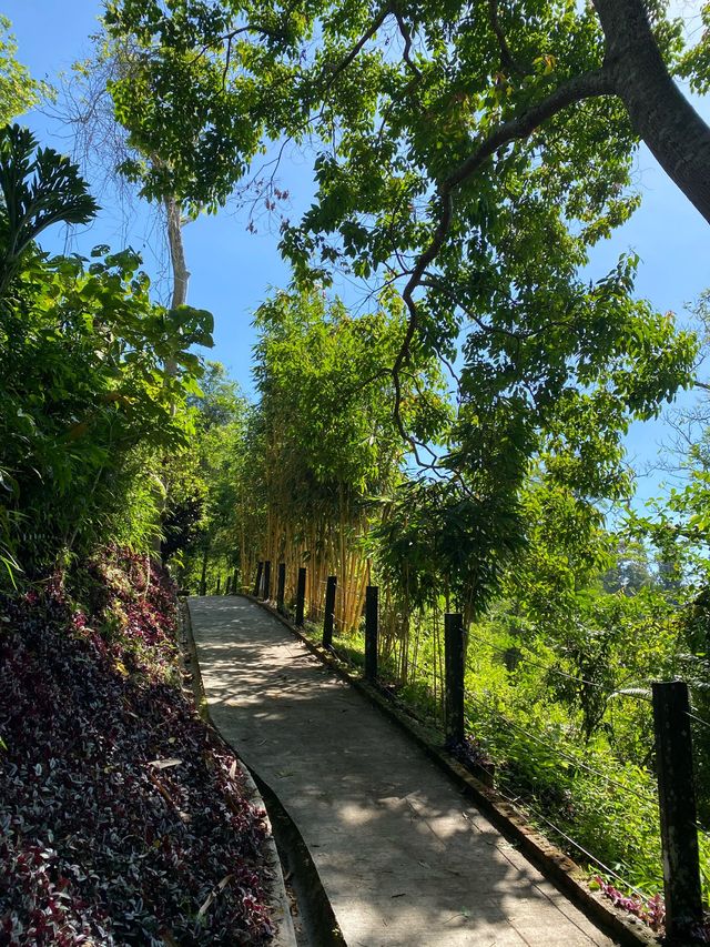 Hiking to the Peak of Penang Hill 🇲🇾