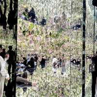 🇯🇵【東京】teamLab Planets TOKYO