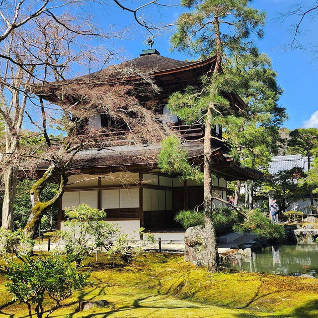 如詩如畫的京都銀閣寺🕍