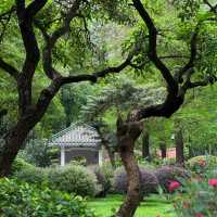 衛武營都會公園：自然的完美🎭🌳