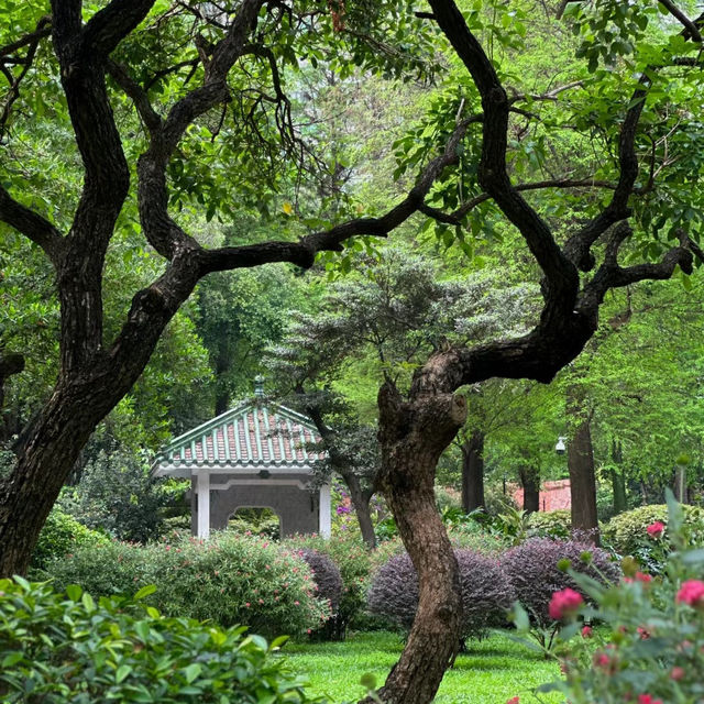 衛武營都會公園：自然的完美🎭🌳