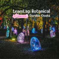 teamLab Botanical Garden Osaka
