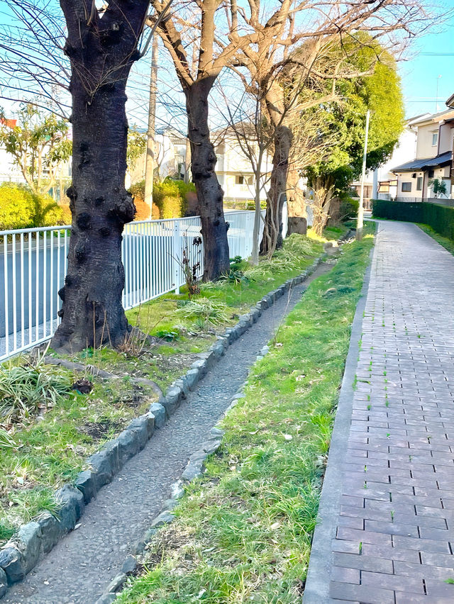 【下辨財天/東京都】市へと寄付された公園にある神社