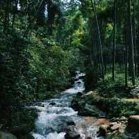 上海西山瀑布：驚人景緻