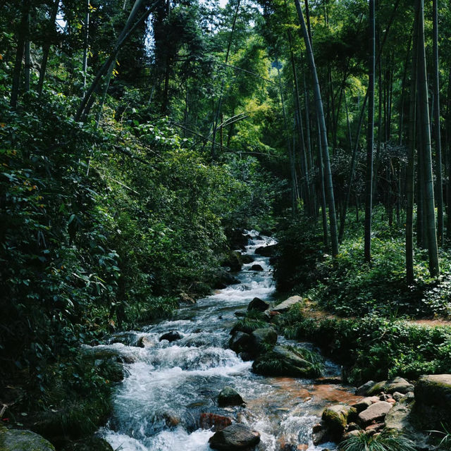 上海西山瀑布：驚人景緻