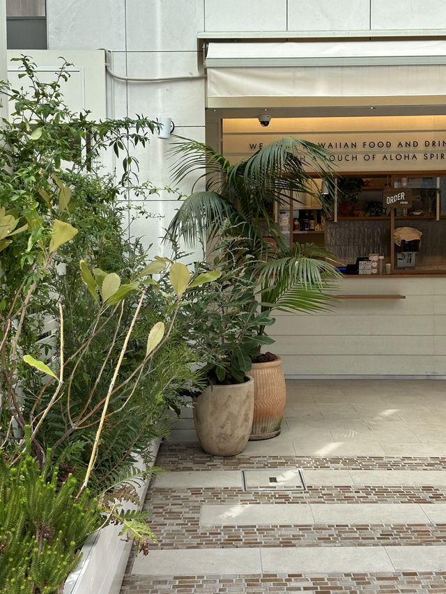도심 속 휴양지에 온듯한 🏝️ 도쿄 시부야구의 스타일리쉬한 카페 추천 