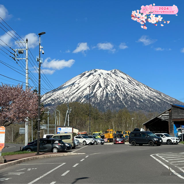 Where to see Hokkaido's 'Fuji san'?