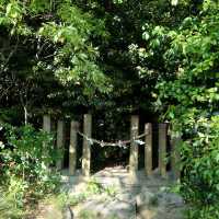 細井平洲ゆかりの神社「八柱神社」
