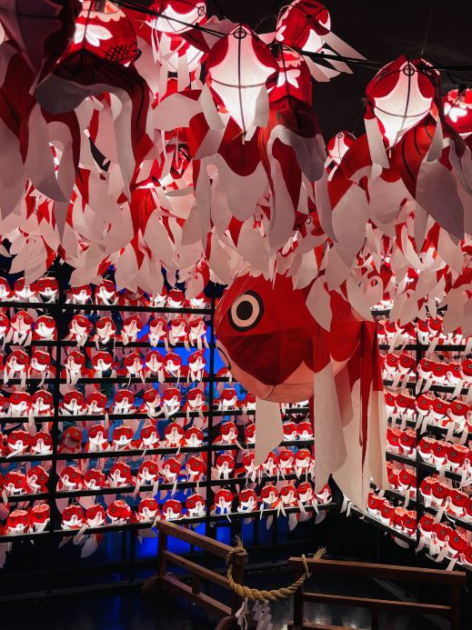 奈良】日本最大級の金魚ミュージアムは思った以上にすごかった | Trip