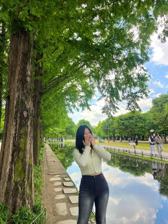 서울숲공원 티켓 할인, 운영 시간, 후기 [2025년] | Trip.com