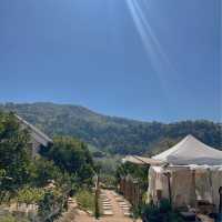 JINJU the orange farm