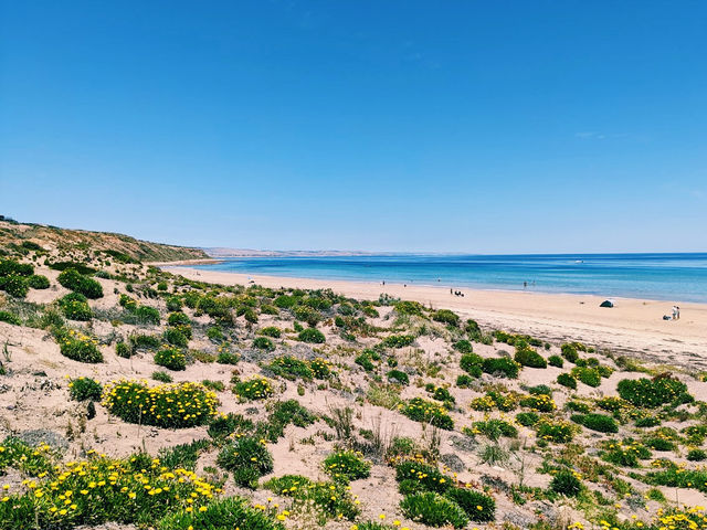 Moana Beach in Australia 