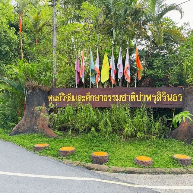 ♻️ป่าพรุโต๊ะแดง​