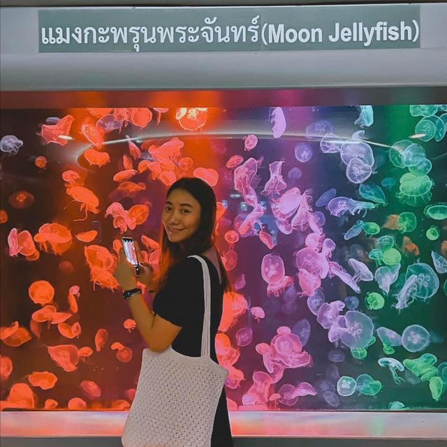 พิพิธภัณฑ์สัตว์น้ําบางแสน - ชลบุรี 